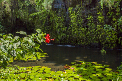Tahiti - Grottes de Maraa